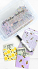 100 Envelope Savings Challenge Kit